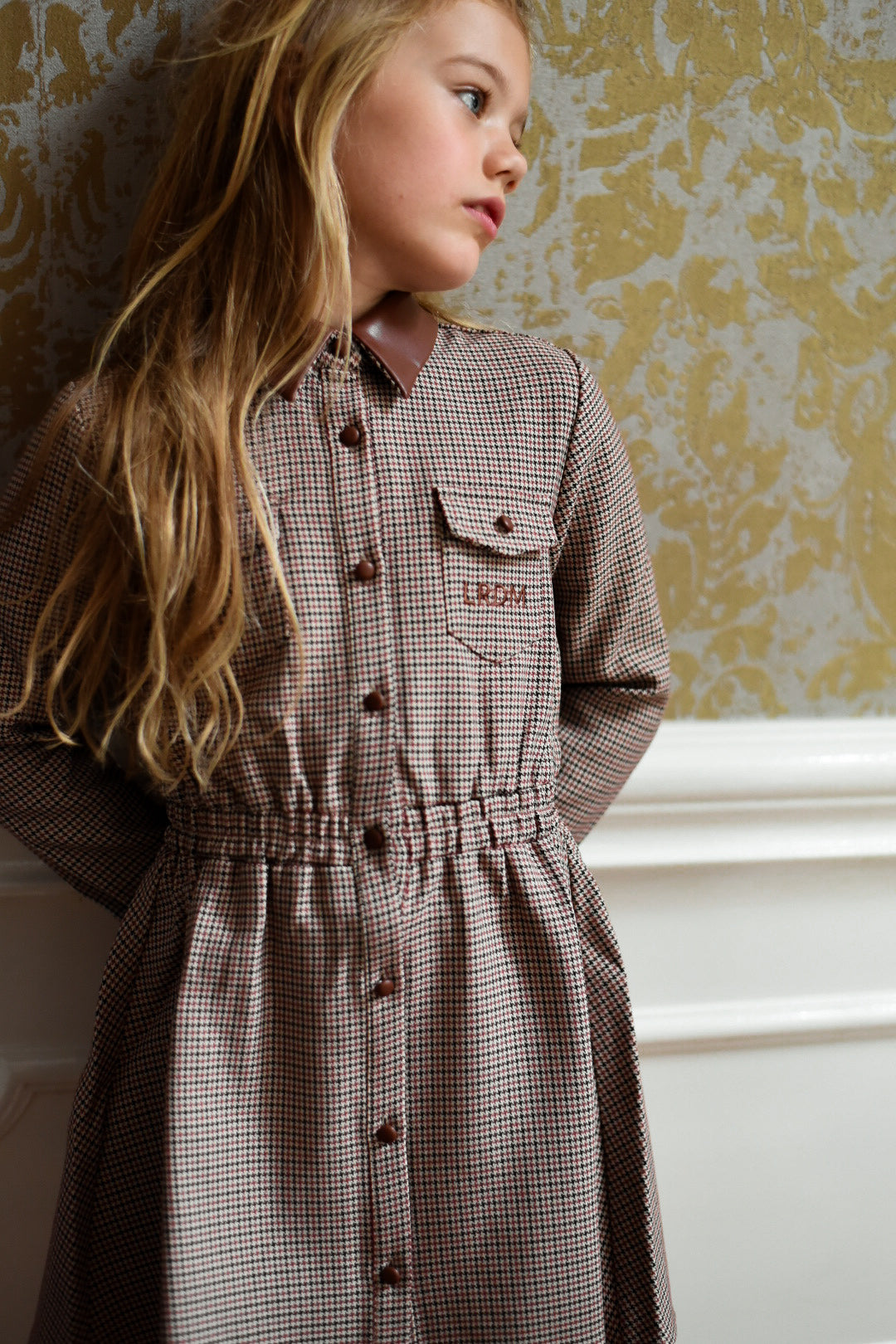 Front detail of the Isabella Dress in Houndstooth in the Canal House