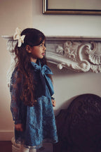 Olivia Lace Dress ❘ Mirage