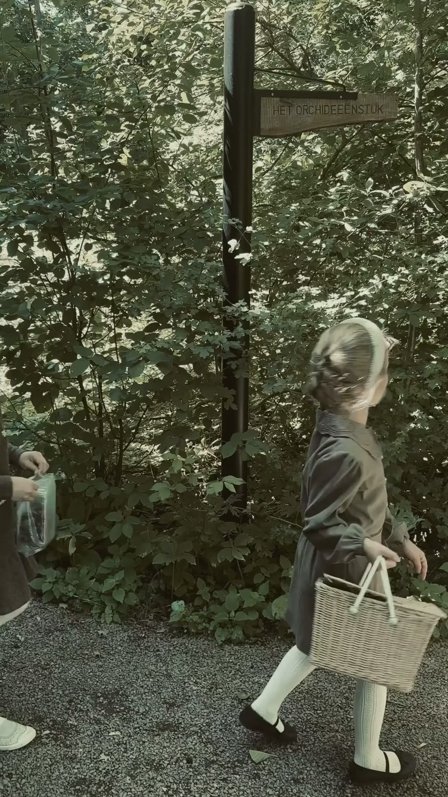 LRDM Petits AW26 Woodland Light collection film with music